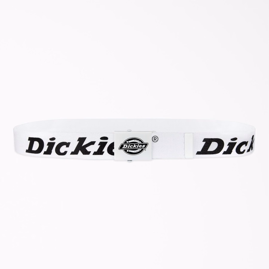 Logo Web Belt