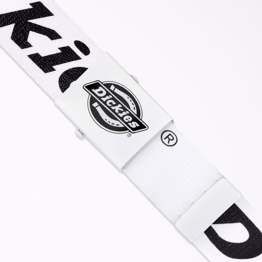 Logo Web Belt