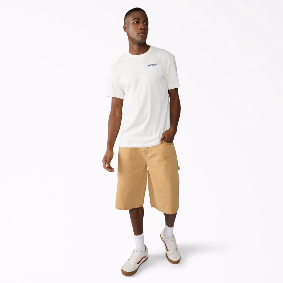 Brukt i avslappede Carpenter Duck-shorts. 13