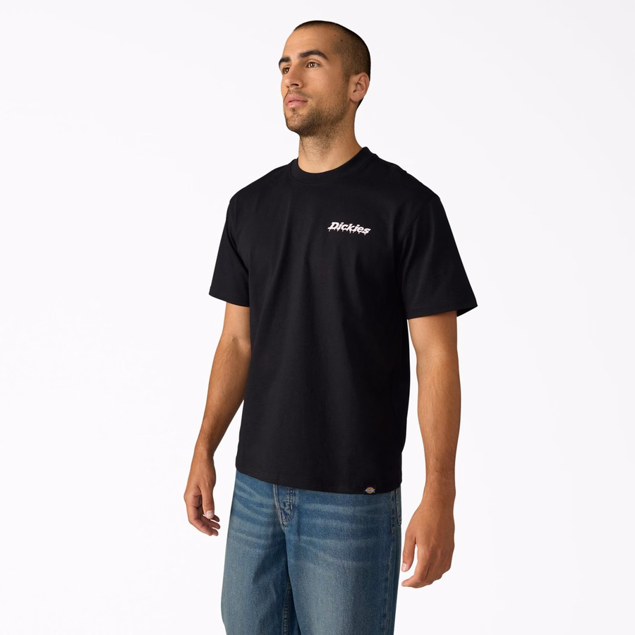 Statesville Graphic T-skjorte