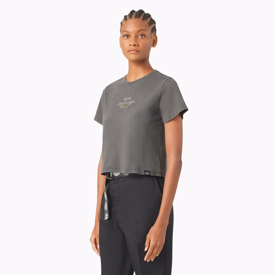 Dickies x Harley-Davidson Dame Vintage Softail Cropped T-skjorte